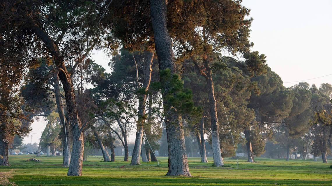 `Just leave Modesto’s Muni alone’ | Letters to the editor: Sunday, Nov. 13, 2022