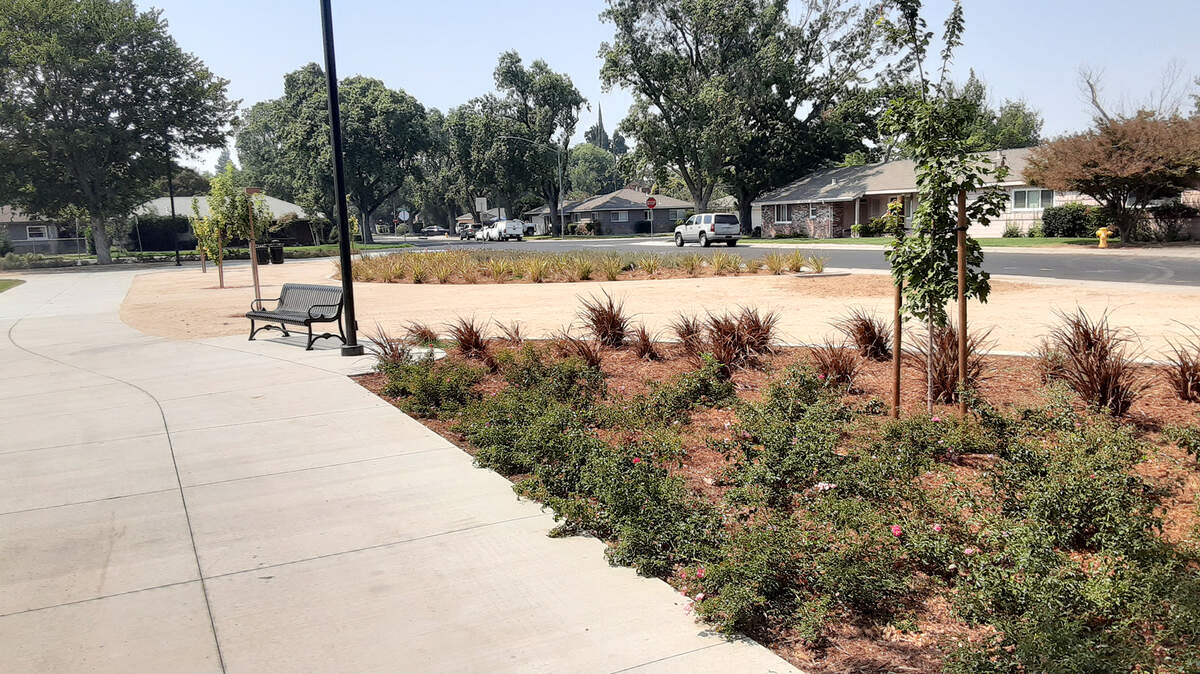 Modesto has reopened Roosevelt Park, nearly two years after closing it for a storm-water project that includs park improvements. Park is shown Friday, Aug. 28, 2020.