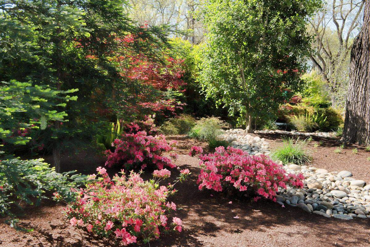 One of the homes on a past year’s Modesto Garden Club Spring Garden Tour.