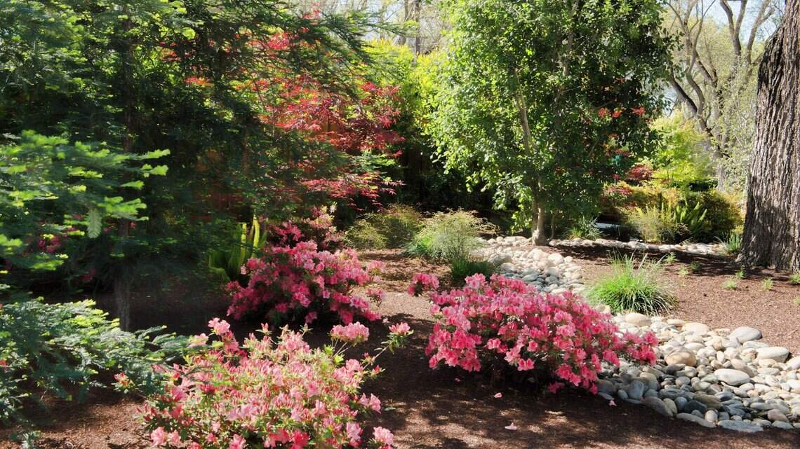 Garden tour, music, kids fest, more set for Modesto CA | Modesto Bee