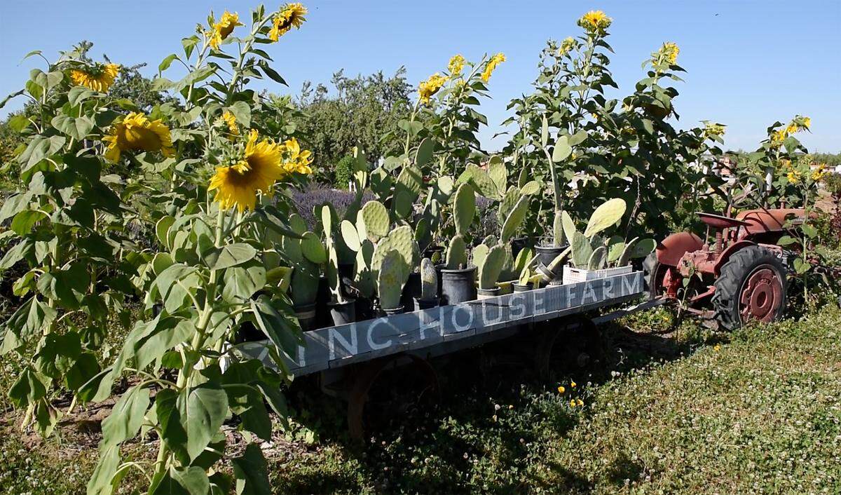 Zinc House Farm in Escalon, Calif., on Tuesday, June, 21, 2022.