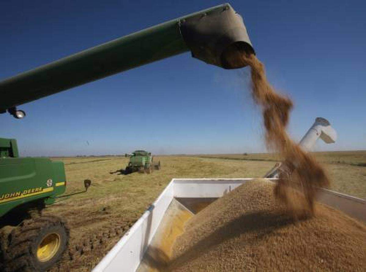 Freshly harvestd Kokuho Rose rice is transferred from a combine to a transport truck at Koda farms on Wed. Oct. 9, 2008.