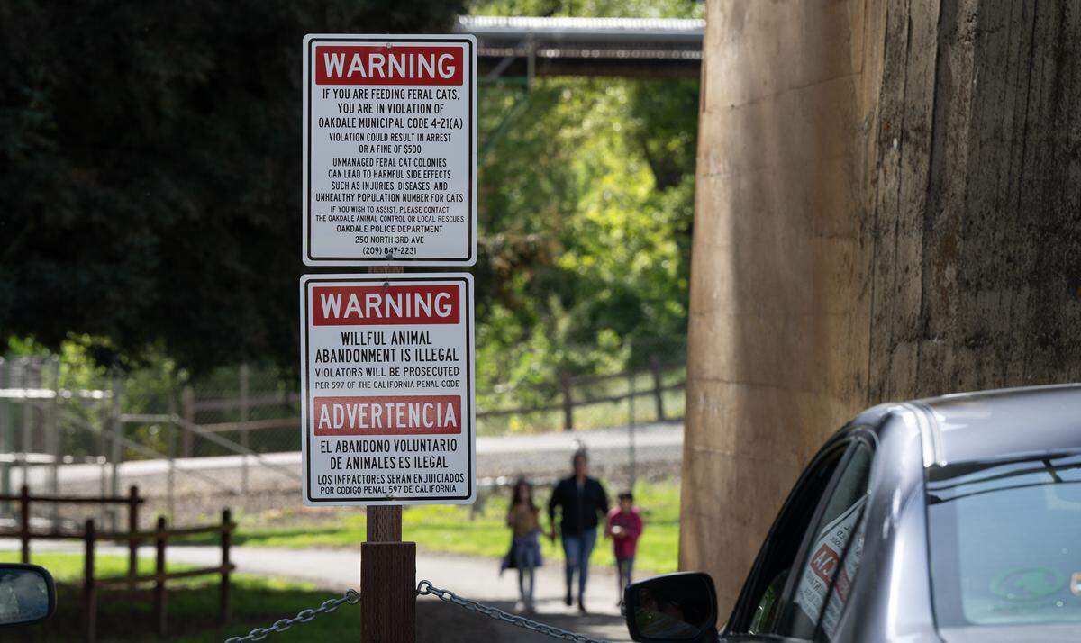 Signs in the parking lot warning visitors to not feed feral cats or abandon animals at Jacob Myers Park in Riverbank, Calif., Saturday, March 30, 2024.