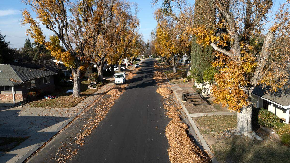 Leaf piles on Bronson Avenue in Modesto, Calif., Wednesday, Dec. 13, 2023. 