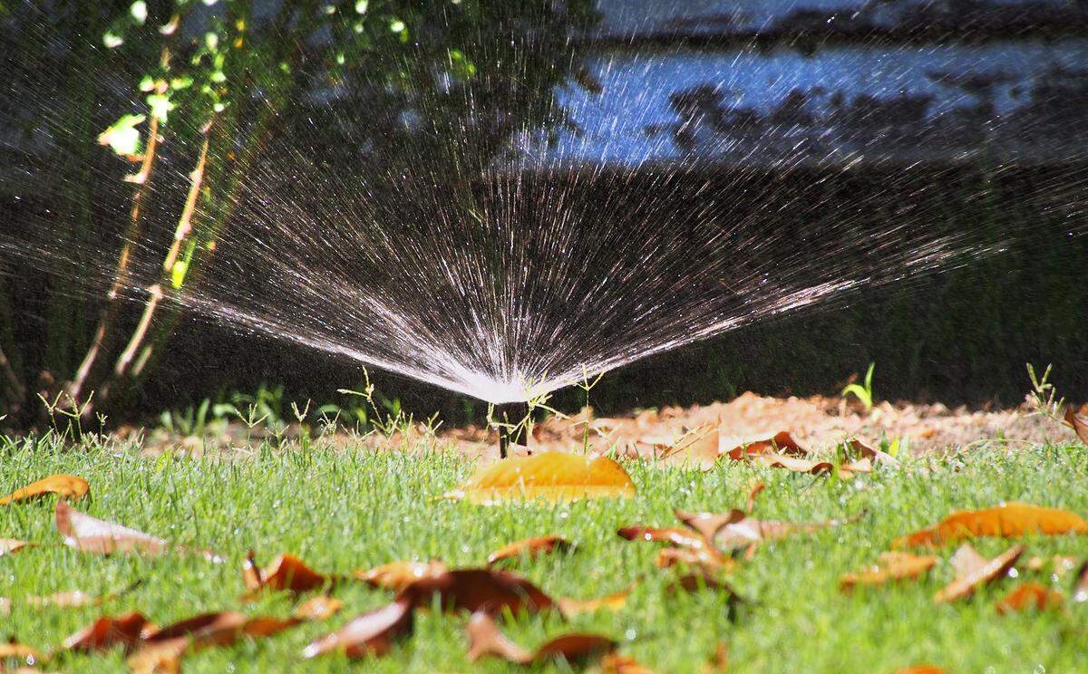 Sprinklers watering in the afternoon on Magnolia Ave.