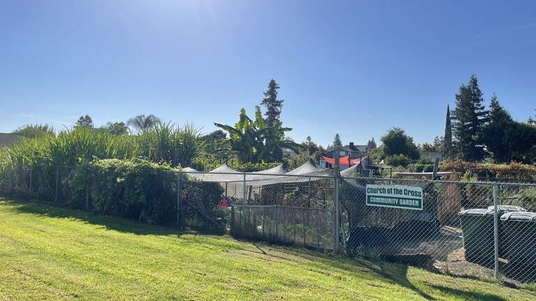 Community Garden yields connections, cultural crops and creativity