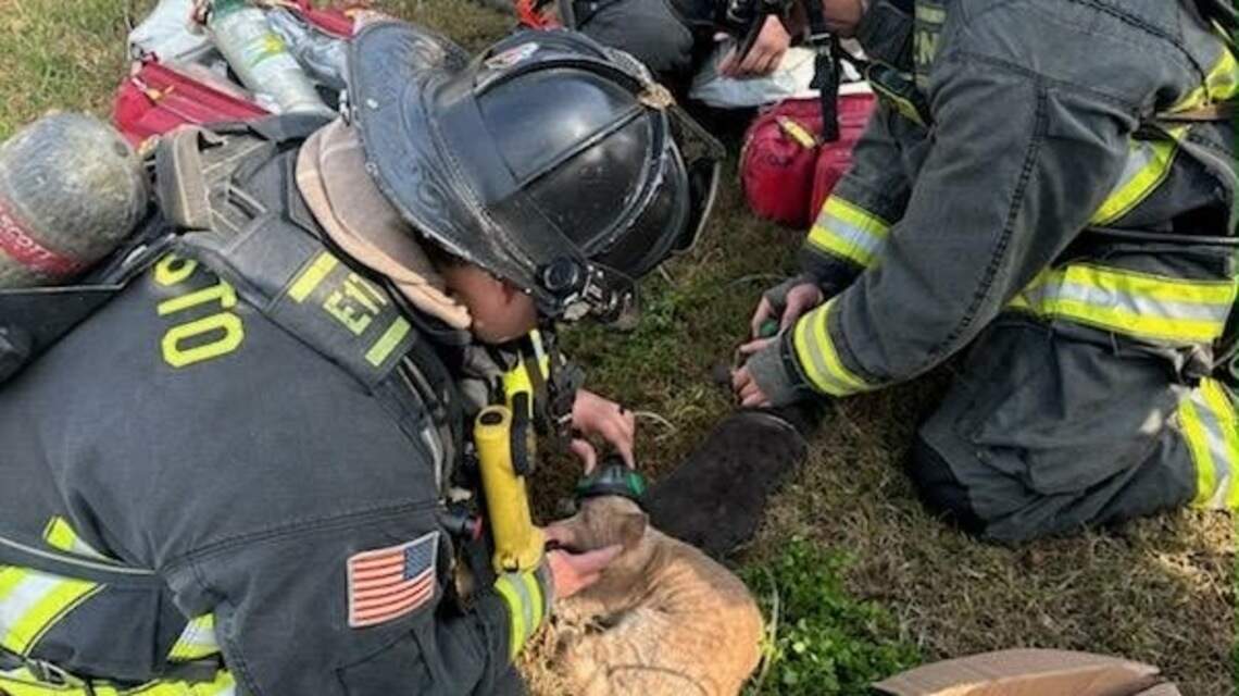 One injured, two cats rescued in Modesto house fire | Modesto Bee