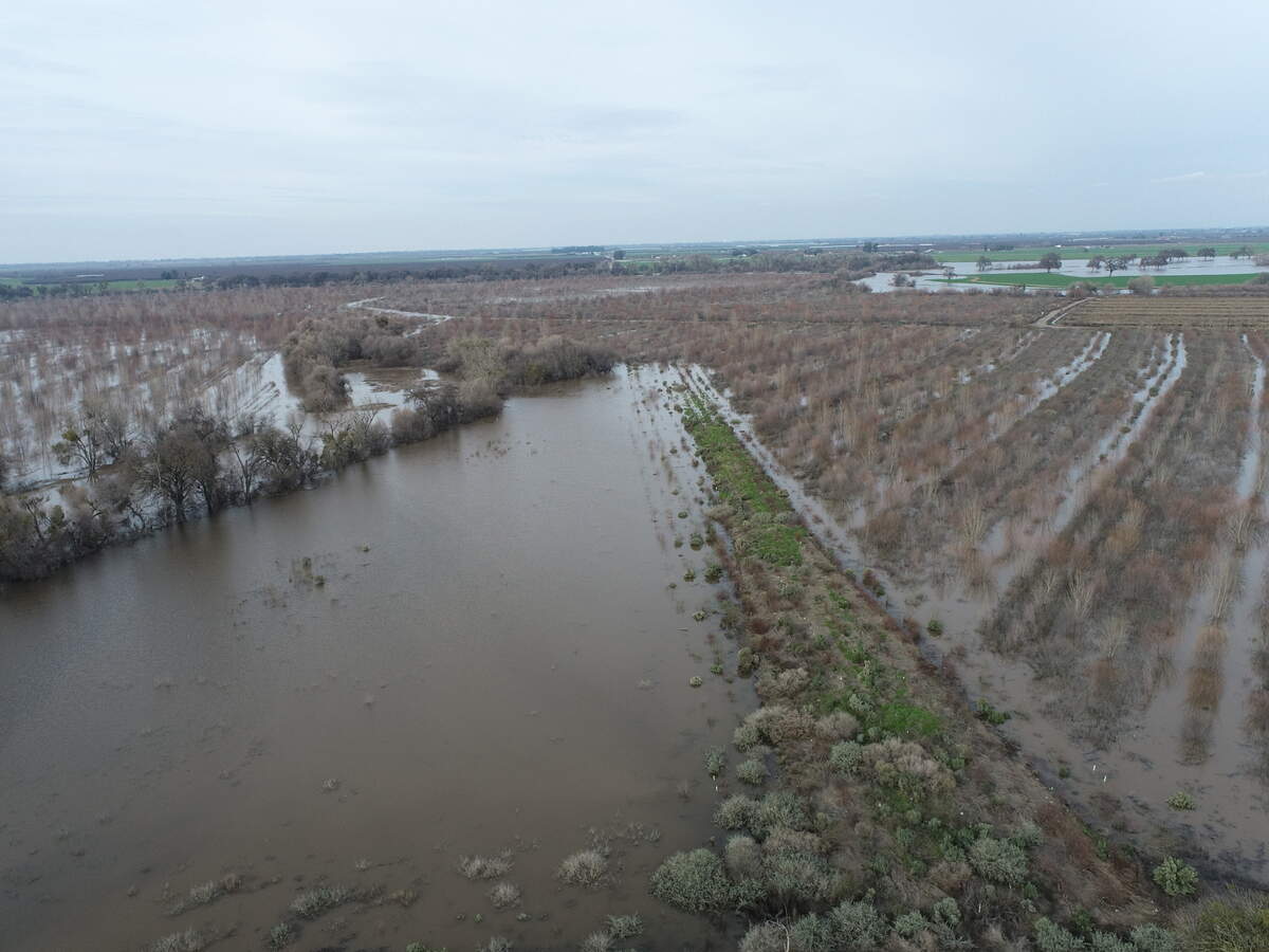Dos Rios Ranch near Grayson flooded in January 2023 — just as planned. The floodwater nourished wildlife habitat and refilled aquifers, while downstream communities were protected.