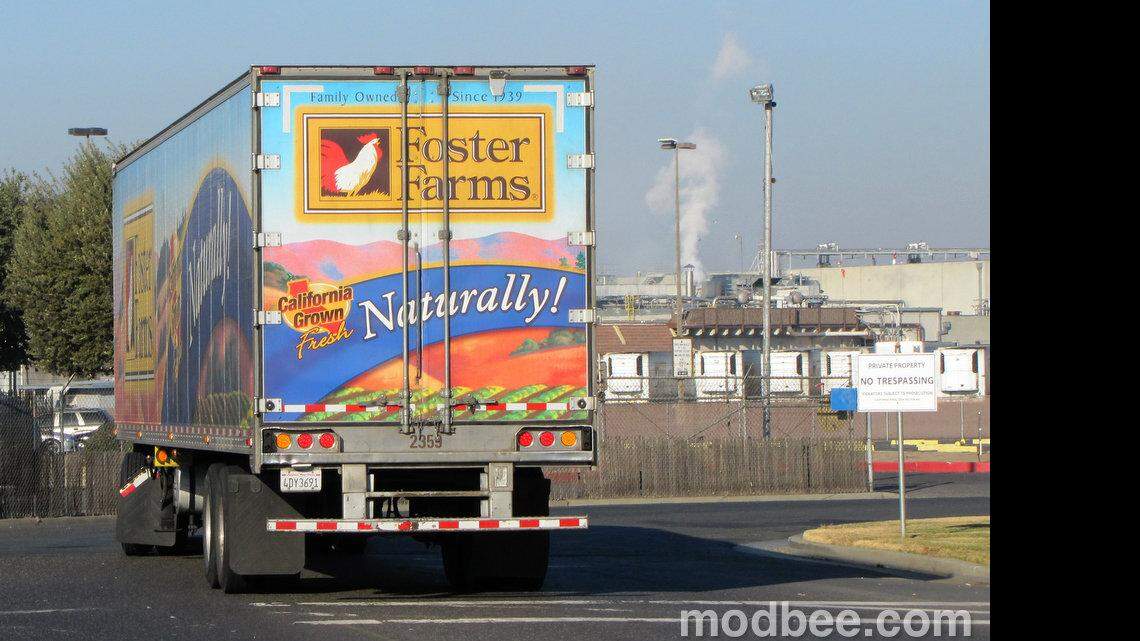 PG Foster Farms