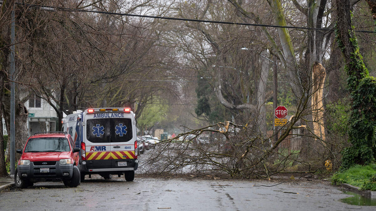 A tree limb broke off and disrupted power on Alice Street in Modesto, Calif., Tuesday, March 14, 2023. No one was injured.