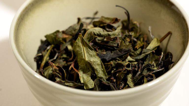 Pictures: Redwood Tea Estate small batch tea