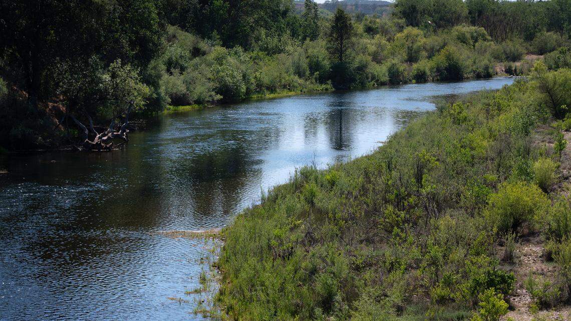 The Tuolumne River flows through Roberts Ferry Calif., on Tuesday, May 24, 2022.