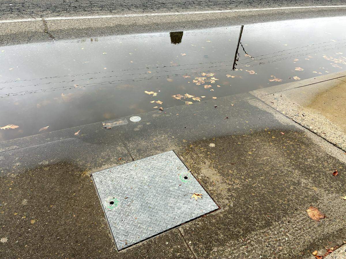 Street flooding near a rock well on Pelandale Avenue on Oct. 14, 2025