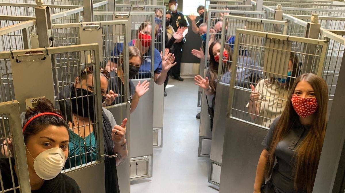 Staff at the Stanislaus Animal Services Agency stand in empty kennels at the shelter in Modesto, Calif. April 16, 2020.