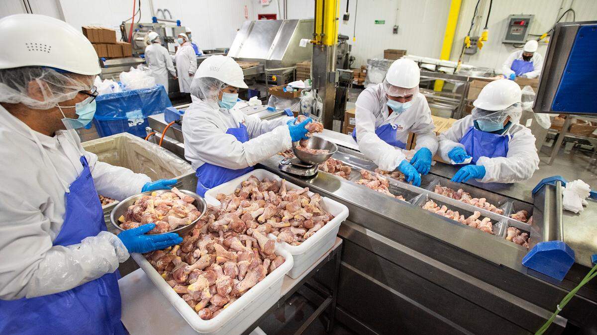 Workers weigh and count chicken legs for packaging at Campfire Meats in Modesto, Calif., on Thursday, Feb. 11, 2021.