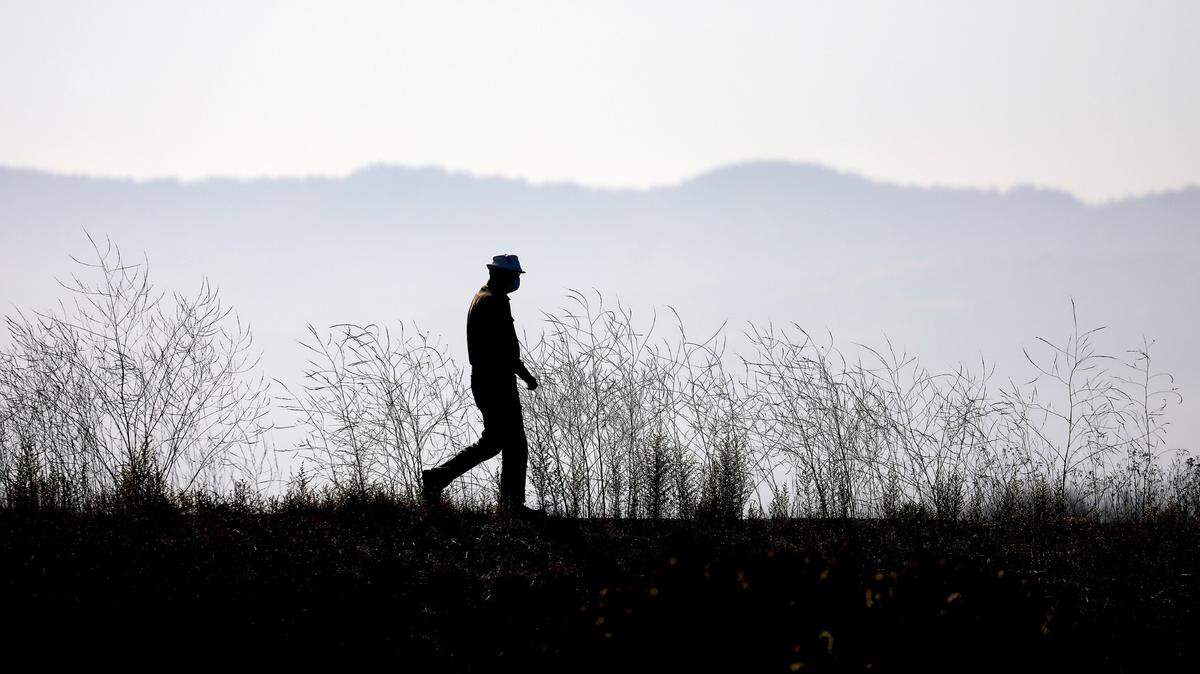 A visitor walks along a trail at the Coyote Creek Lagoon Unit of the Don Edwards San Francisco Bay National Wildlife Refuge on Nov. 15, 2020, in Fremont, California. (Aric Crabb/Bay Area News Group/TNS)
