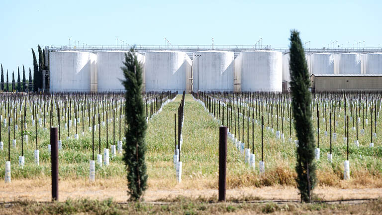 Update: ‘Significant’ income drop prompted Bronco Wine to shed 81 workers in Stanislaus