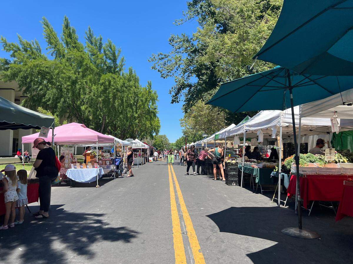 Visit the Modesto Certified Farmers’ Market with our On a Budget reporter. Here’s all the she bought from vendors for under $20.
