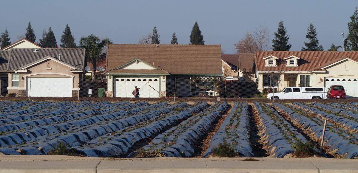DN farmland