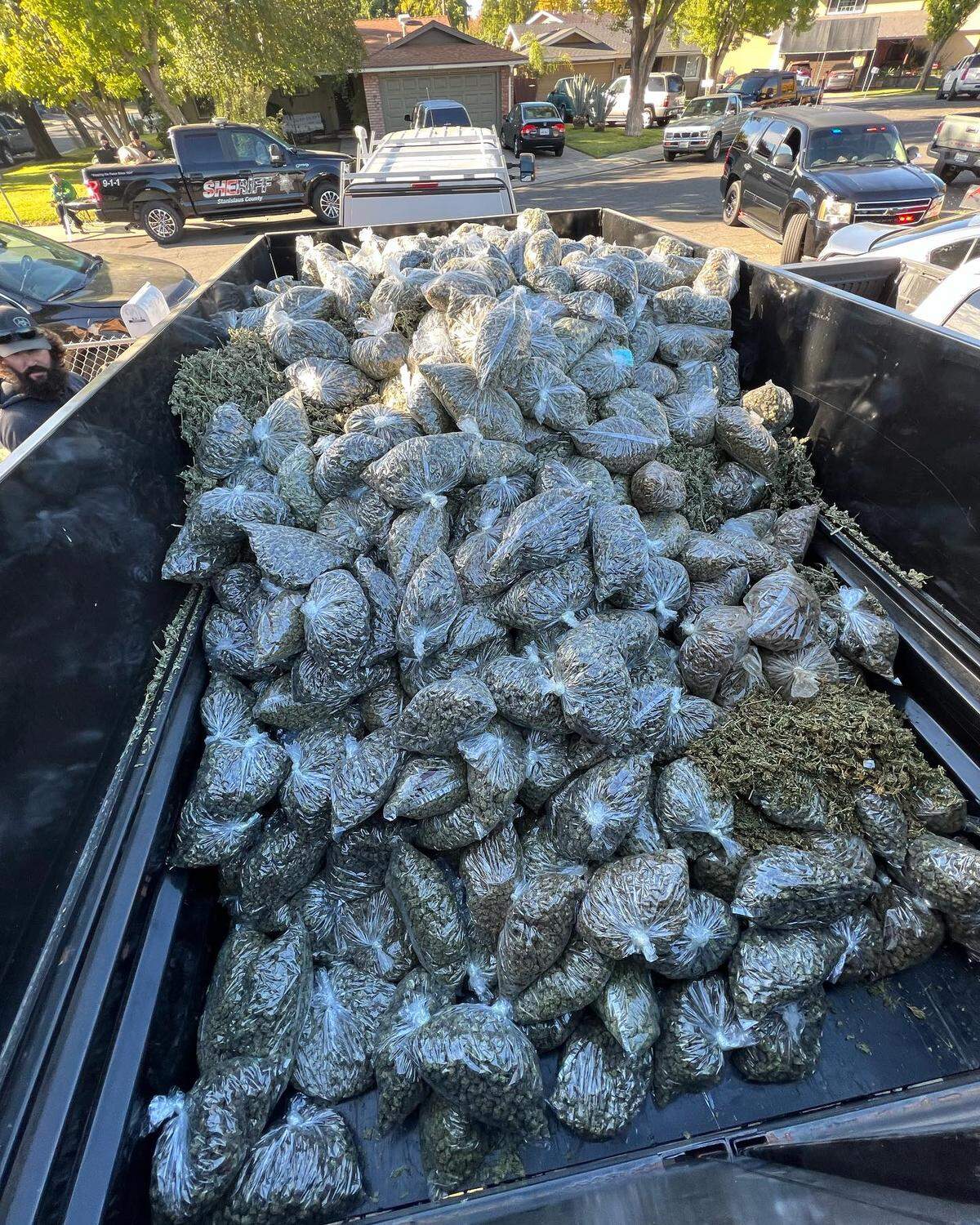 Stanislaus County Sheriff Jeff Dirkse posted on Facebook this photo taken Friday when a search warrant was served at an illegal marijuana grow on the 900 block of Lenore Court in Modesto.