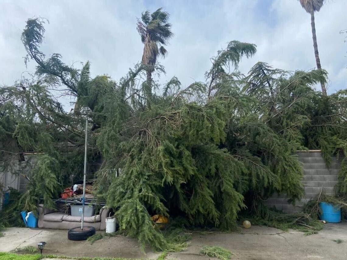 Modesto Fire Department Battalion 1 responded when a tree fell on March 14, 2023.