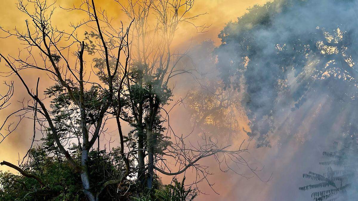 Several fire agencies responded to a fire in the area of Dunn Road and Kiernan Avenue on Monday June, 14, 2021.