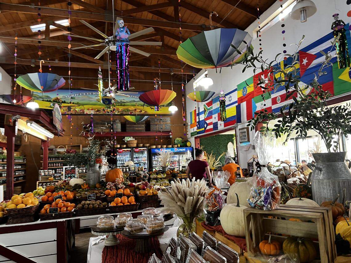 Pumpkin patches and corn mazes are in full swing across the Modesto region this fall.