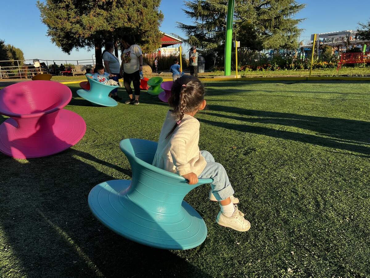 Pumpkin patches and corn mazes are in full swing across the Modesto region this fall.