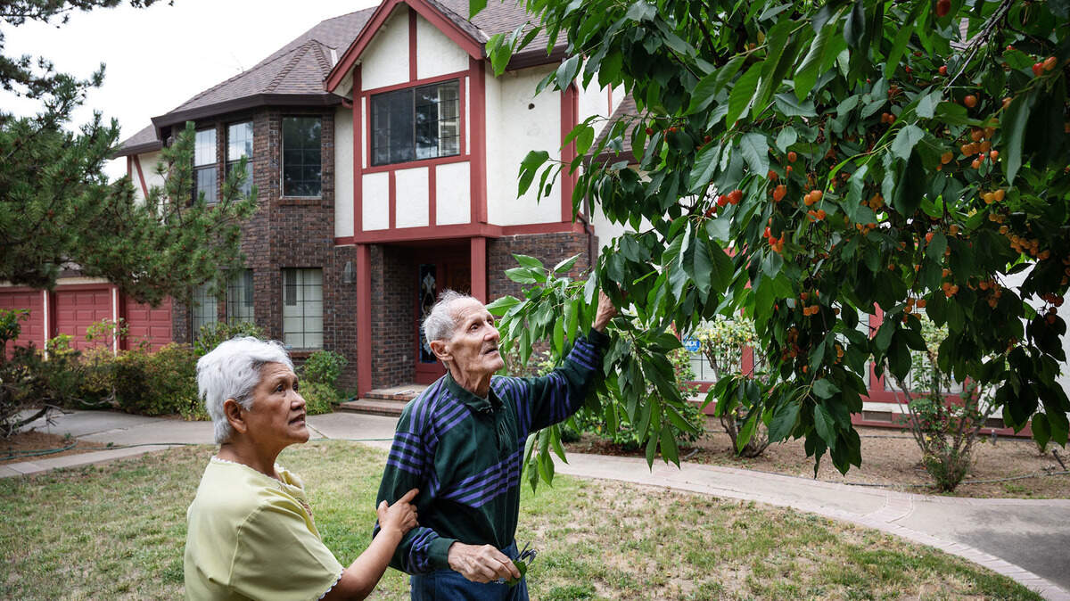 Is my neighbor allowed to take fruit from my tree in Stanislaus County? See rules