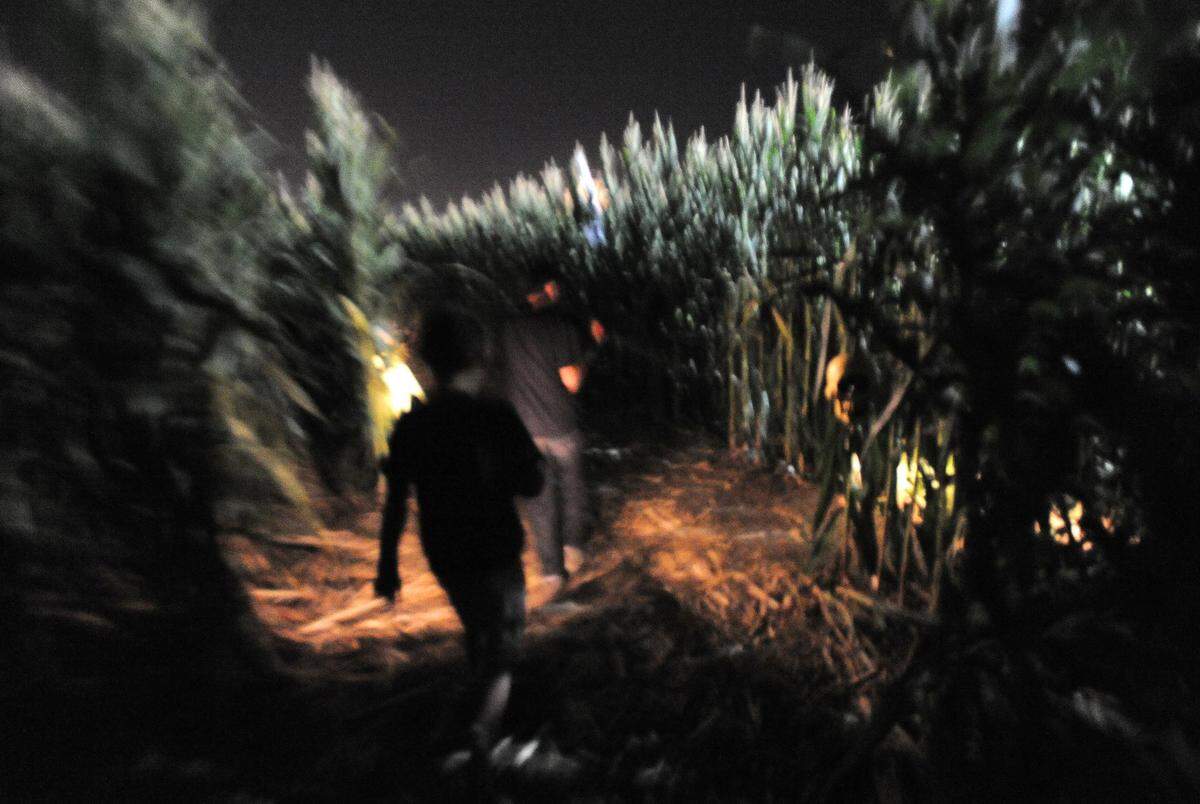 The haunted maze is shown from a past year at Fantozzi Farms in Patterson.