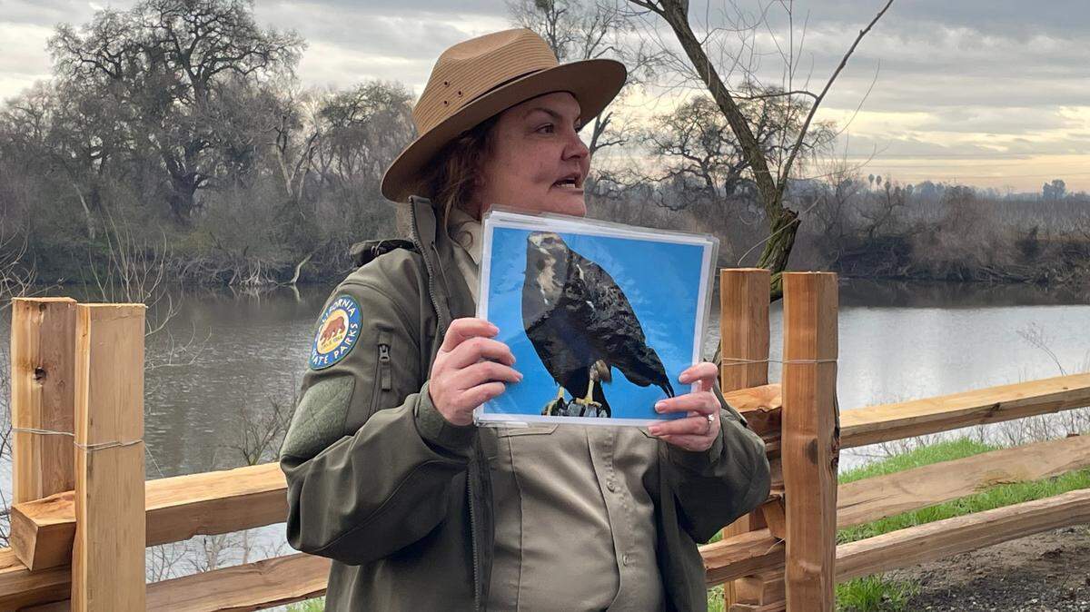 Caitlin Jackson, intérprete en el nuevo Parque Estatal Dos Ríos Ranch, cerca de Modesto, California, describe un halcón de Swainson durante una visita, el 7 de febrero de 2024.