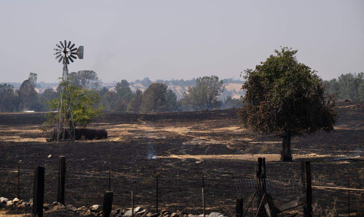 Scorched landscape in Chinese Camp, from a fire which started Tuesday evening, Sept. 2, during a lightning storm. Photographed, Wednesday, Sept. 3, 2025.