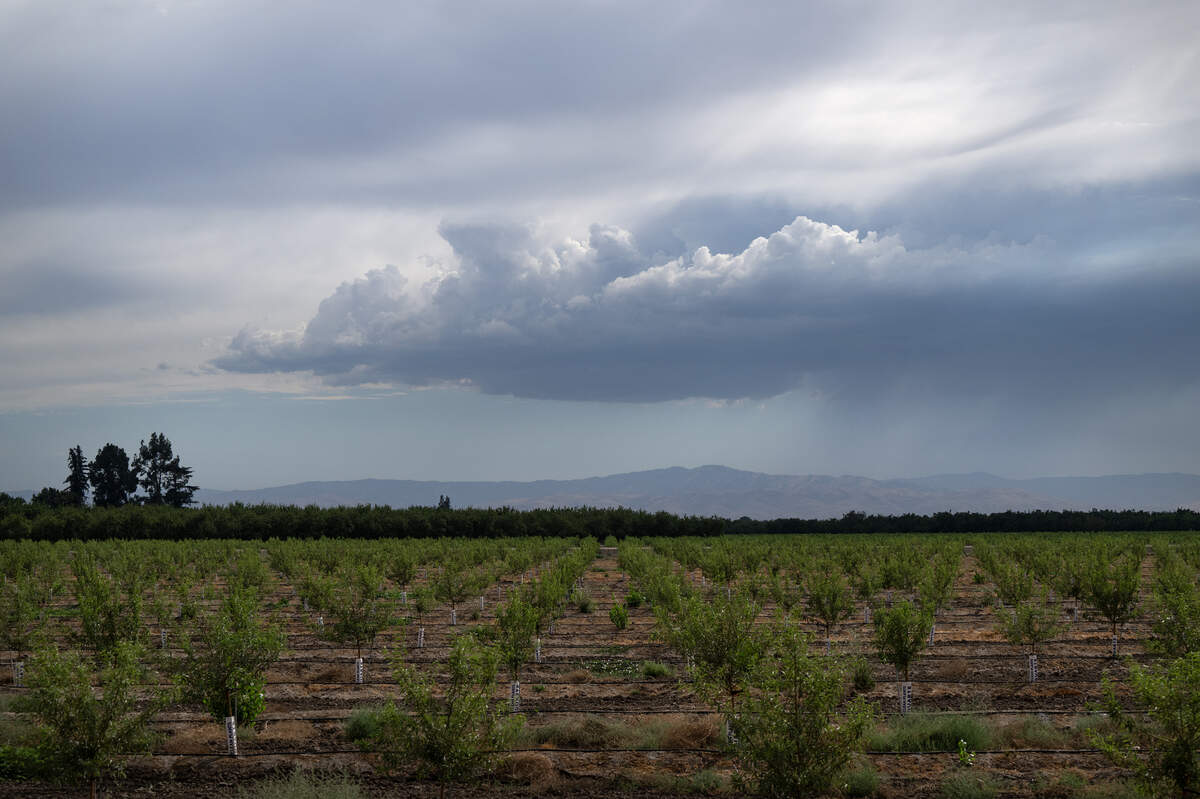 Afternoon clouds roll into Stanislaus County on Aug. 16, 2023.