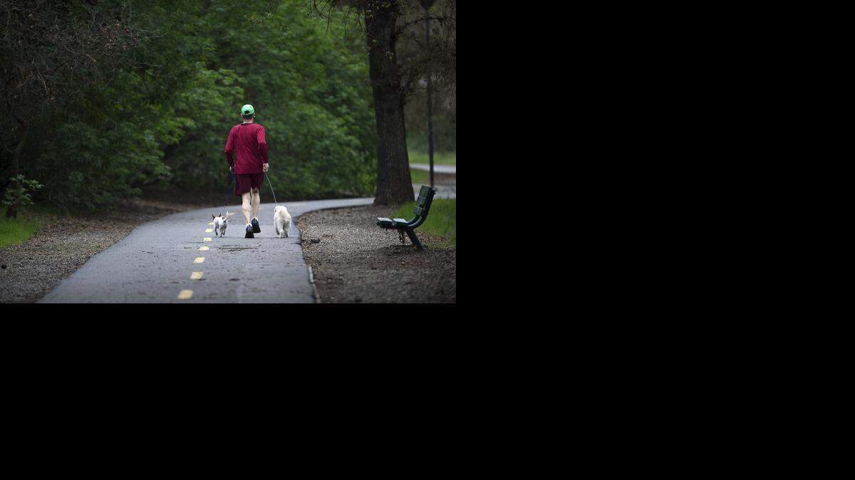 AA