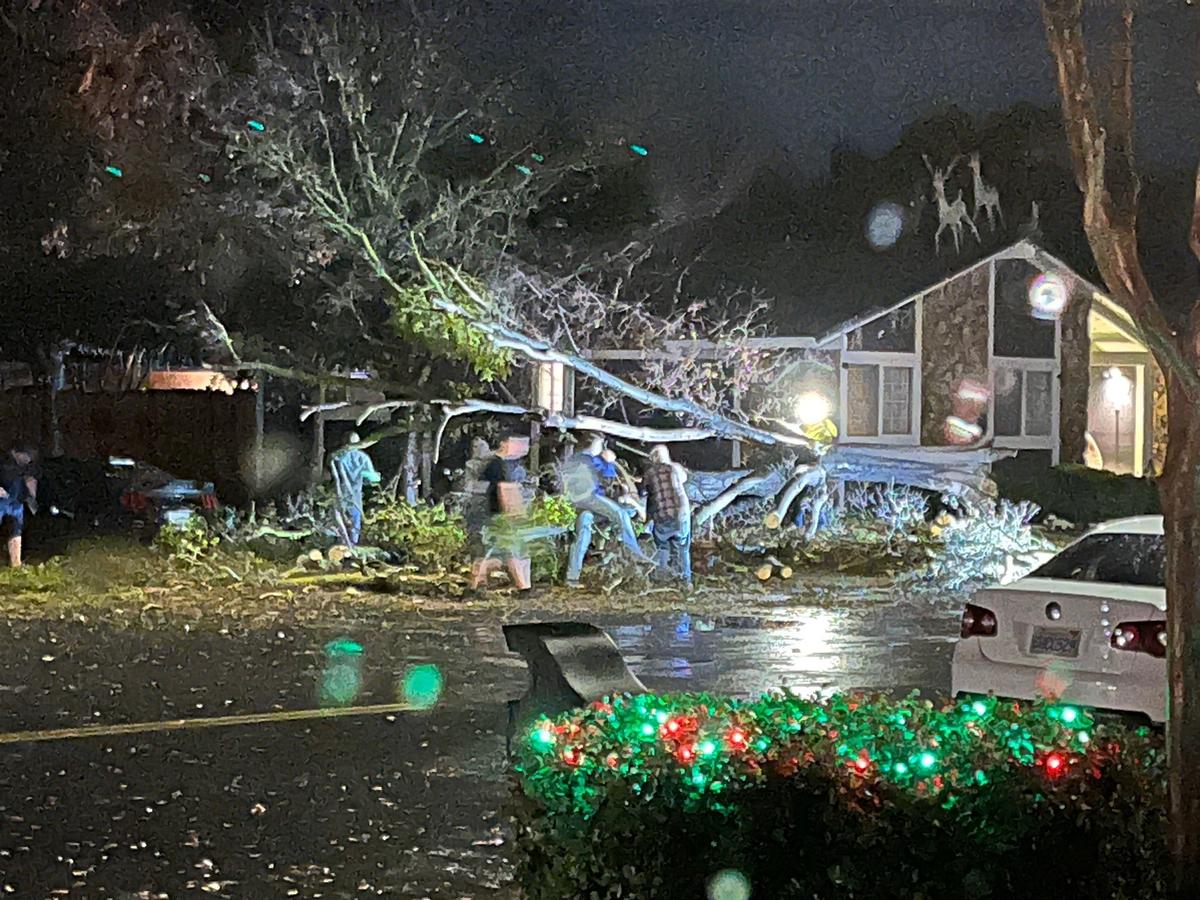 When tree fell Friday evening, Jan. 6, 2023, at Dragoo Park Drive and Norton Avenue in north Modesto, neighbors poured out to help clear it from the roadway, said Allan Ramsay, who took the photo.