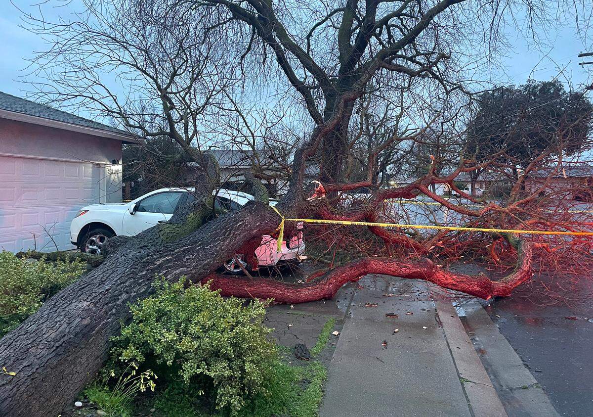 A tree fell on a car parked at a home on the 2800 block of Hemminger Way in Modesto.