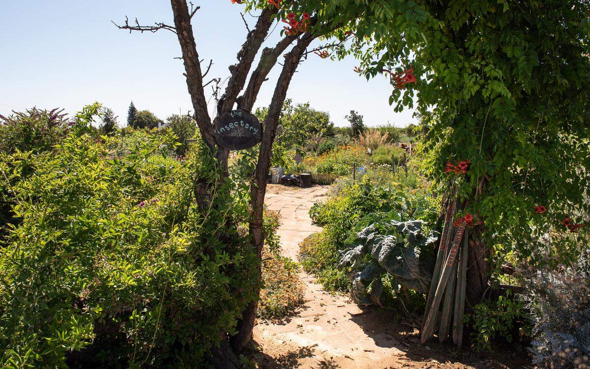 The portal to the insectary at Zinc House Farm in Escalon, Calif., on Tuesday, June, 21, 2022.