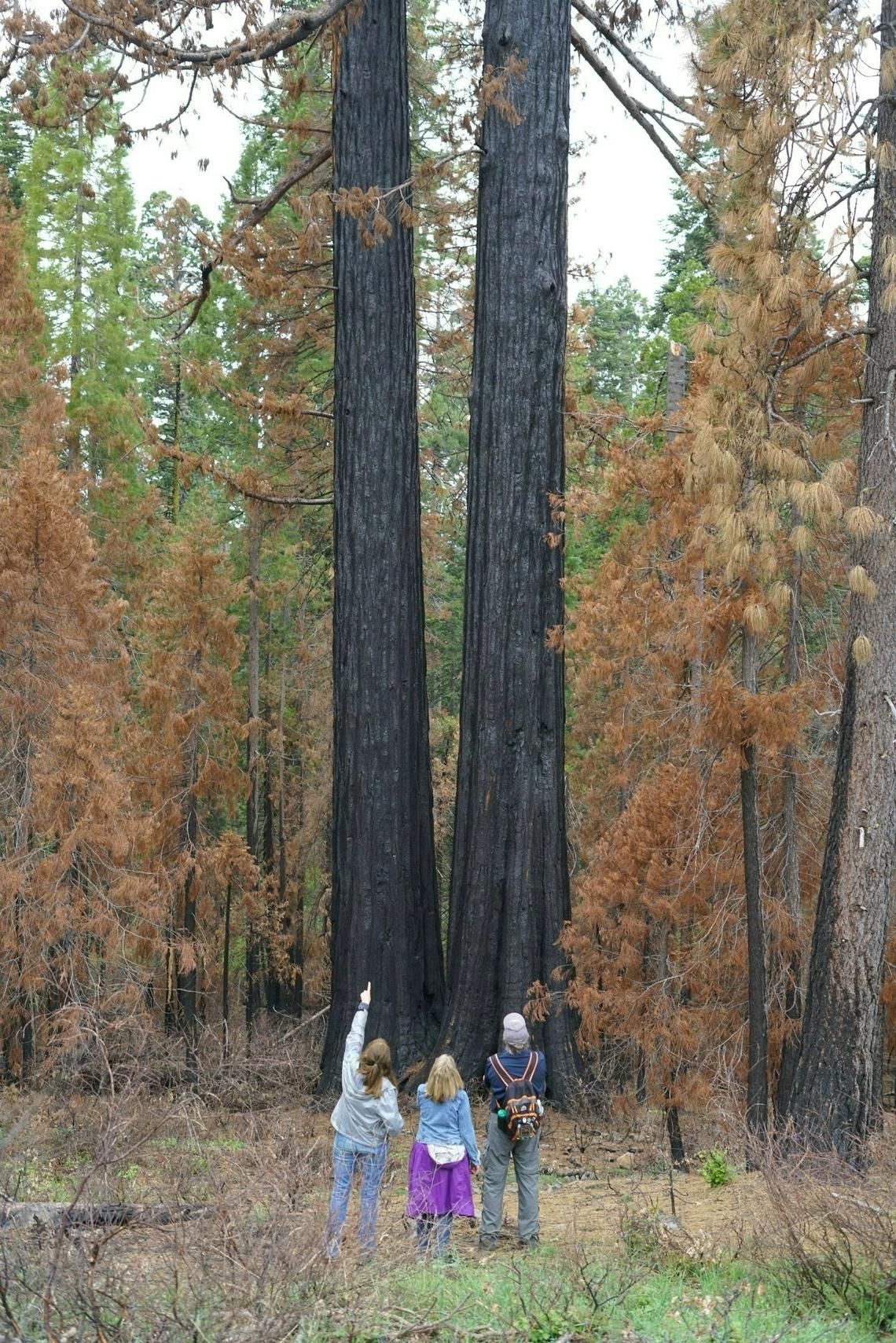 Arnold resident Tom Van Lokeren, right, organized the blessing at Calaveras Big Trees State Park Sunday, June 11, 2023 to pray for The Orphans survival.