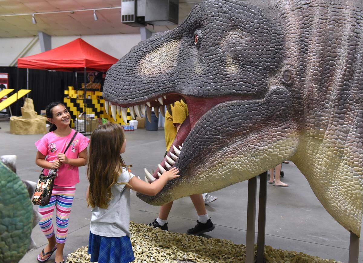 Sofia Renteria 7yrs (left) and Isabelle Lopez 8yrs check out a very large dinosaur Thursday July 12, 2018 in the Dinomania exhibit at the Stanislaus County Fair in Turlock, Calif. 