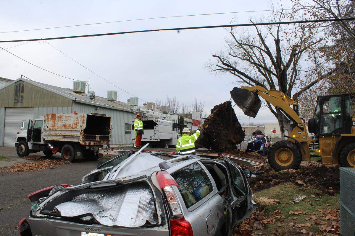 A crew moves the remains of a tree that fell on Bruce Wedin’s car at Broadway Park in Turlock, Calif., on Thursday, Dec. 16, 2021. Wedin was lying down inside the car when it fell.