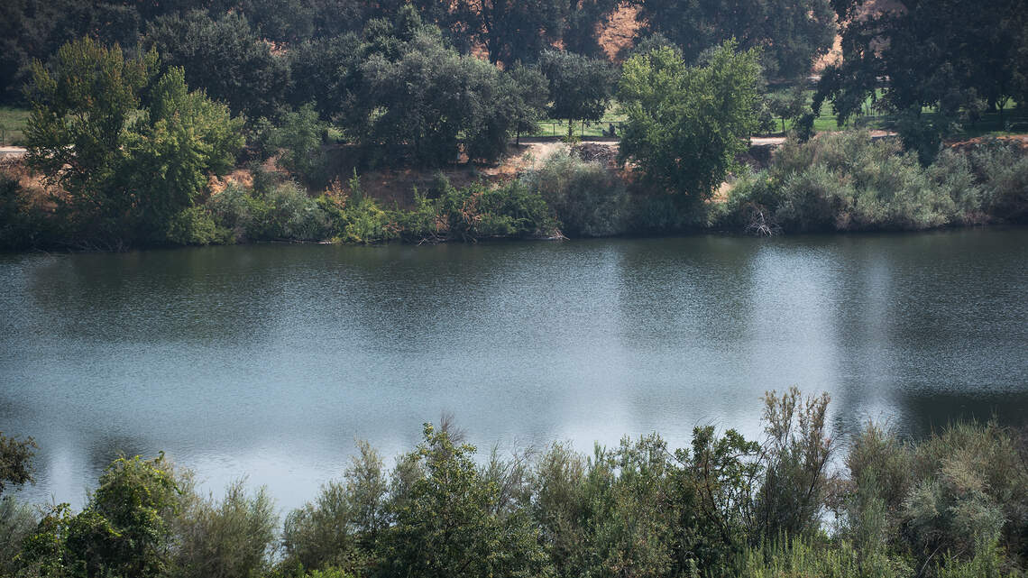 Trump administration sues California to block water plan for fish