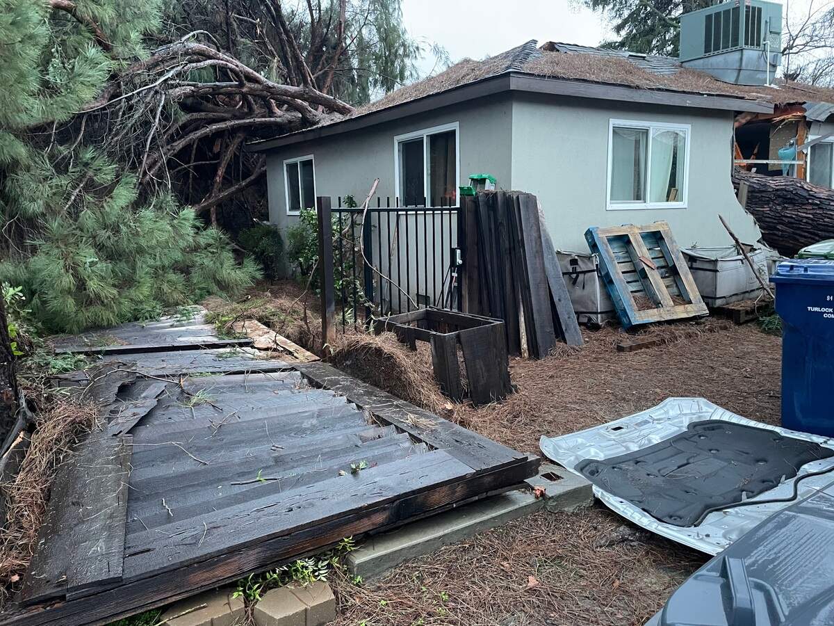 A massive conifer fell onto a home on Hawkeye Avenue in Turlock on Monday, Jan. 16, 2023, splitting it down the middle. No one was injured.