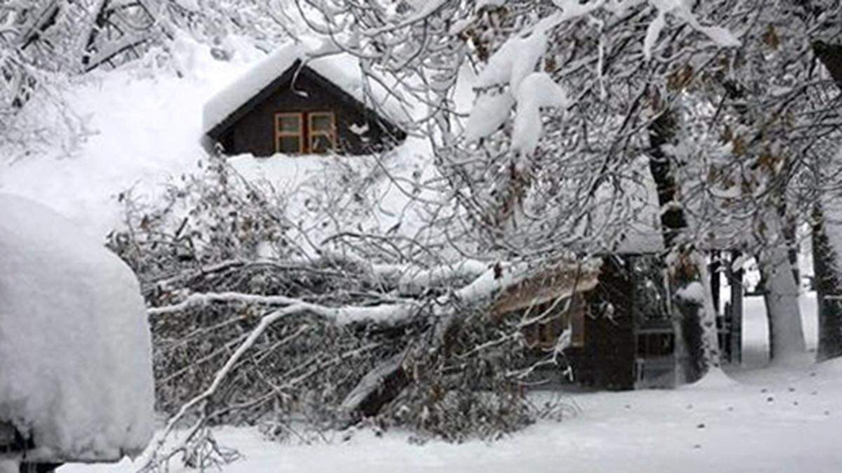 All roads in Yosemite National Park are closed due to heavy snow and fallen trees. People currently in Yosemite should stay inside to avoid falling trees. Fallen tree pictured Tuesday February 5, 2019 by the Mariposa County Sheriff’s Department.