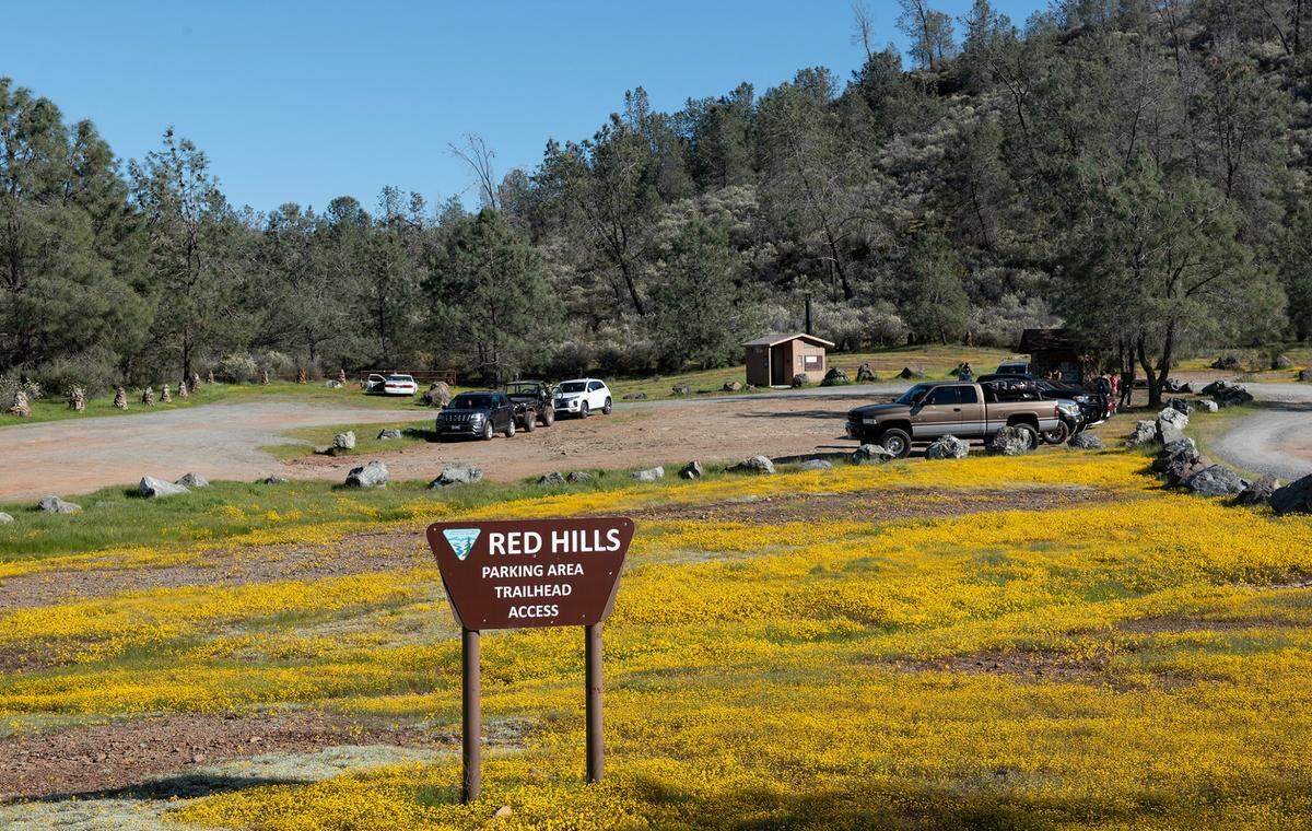 Red Hills recreation area in Chinese Camp, Calif., Wednesday, April 12, 2023.