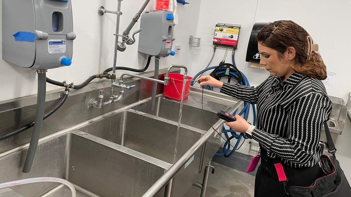 Rats and roaches make headlines, but are Modesto-area restaurants mostly safe?
