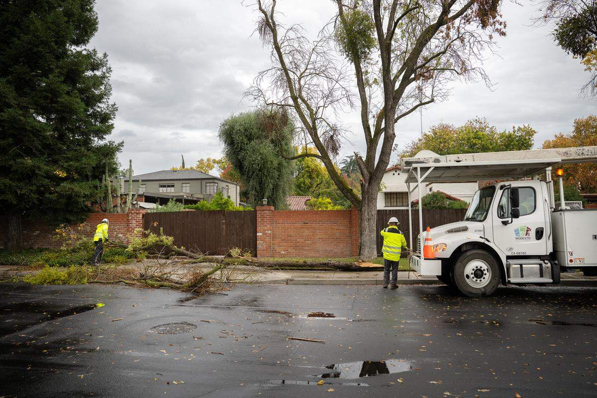 A city of Modesto crew cleans up tree limbs that were damaged in Modesto, Thursday Nov. 13, 2025. 