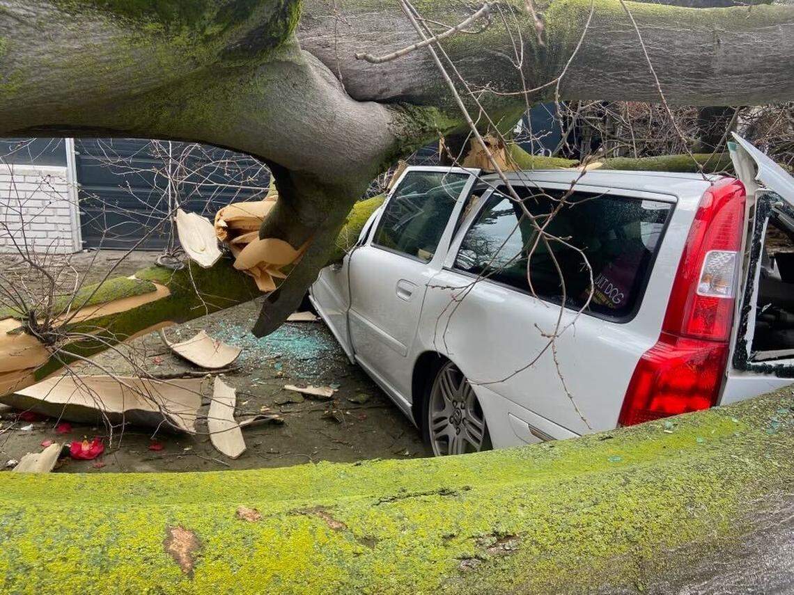Modesto Fire Department Battalion 1 responded when a tree crushed a vehicle because of high winds on March 14, 2023.