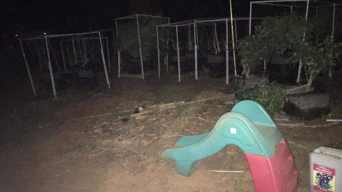 Scott Andrew Rockey, 31, was found dead in a marijuana garden on his property on Tuesday, Oct. 16, 2018.