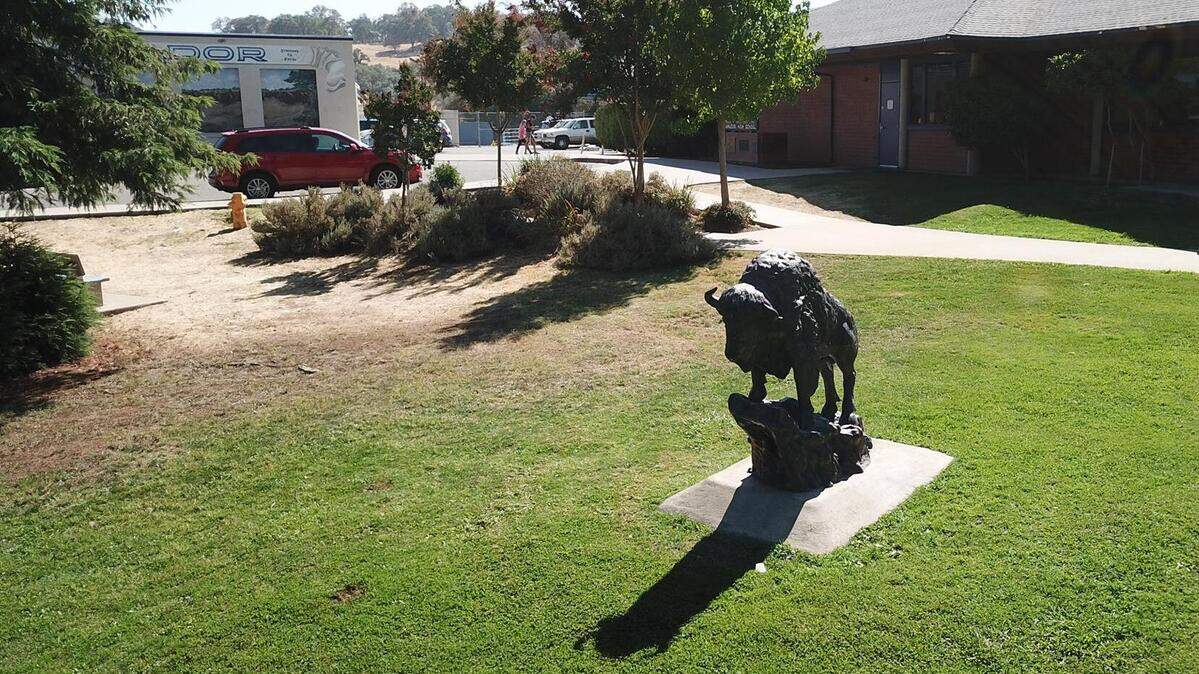 The remainder of the Buffaloes’ football season at Amador High in Sutter Creek has been canceled.