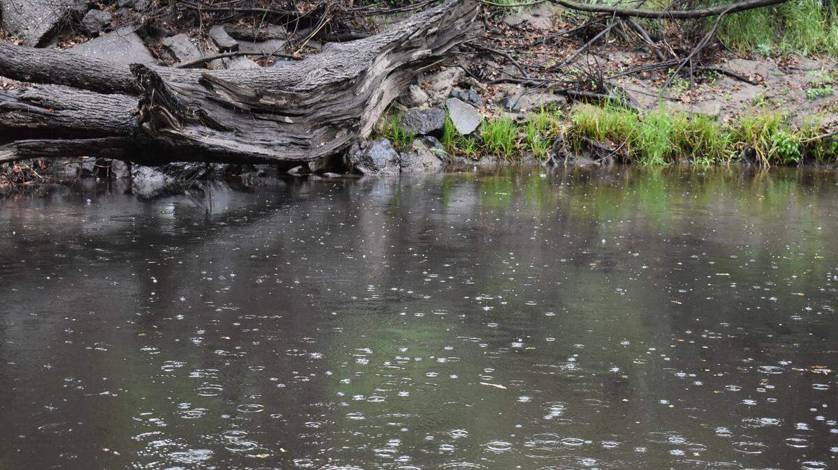 Raindrops fall into Dry Creek between Kewin and Moose parks off La Loma Avenue in Modesto on Sunday morning, March 15, 2020.